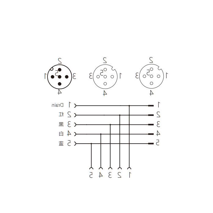 M12 5Pin male /2M12 5Pin female, T-connector, 0C4555